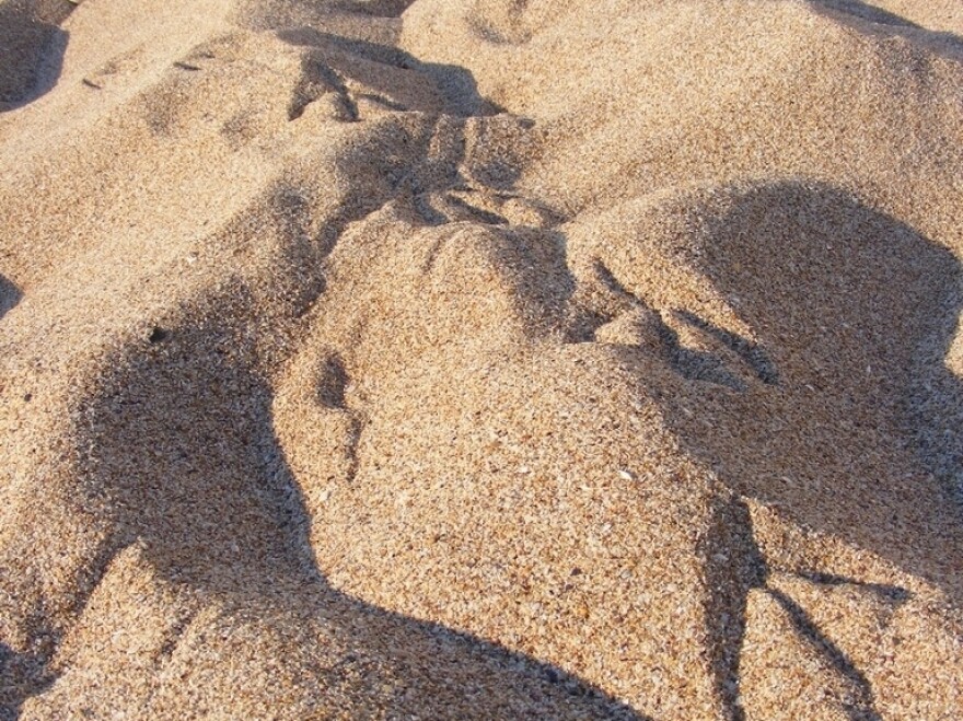 Grains of sand.