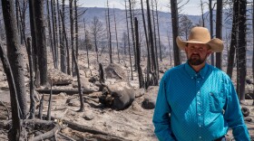 Trevor Barnson stands in front of one of his dead cows, June 30, 2026. He estimates that he lost around 30 of his cattle and two-thirds of his grazing land to the Cottonwood Fire.