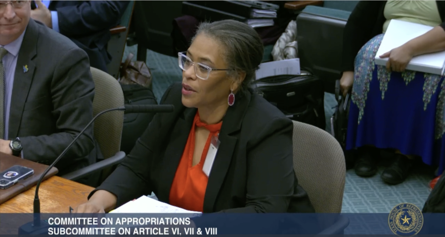 Screenshot of Texas Water Development Board's chairwoman L'Oreal Stepney testifying in front of the House Subcommittee on Appropriations on February 27, 2025.