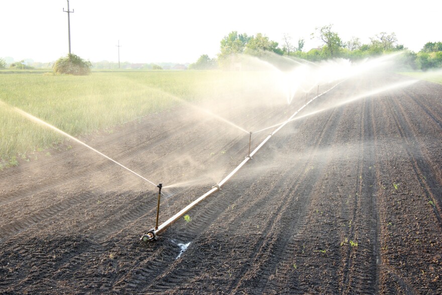 Watering a field.