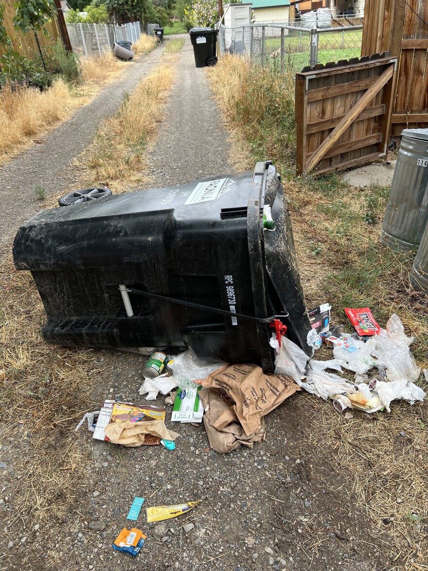 Almost bear proof. The lid remained on thanks to the strap, unfortunately, some trash was dispersed. 