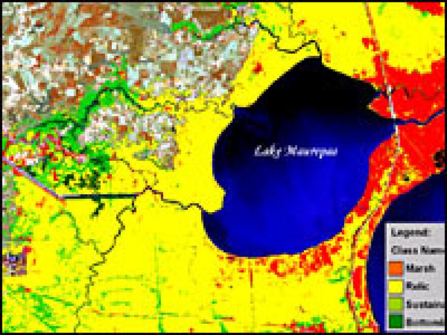 A preliminary estimate from Dr. Gary Shaffer and other local scientists projects that 80 percent of southern Louisiana's cypress forests would not grow back if cut down -- some would become open marsh (red areas); most would become a relic area.