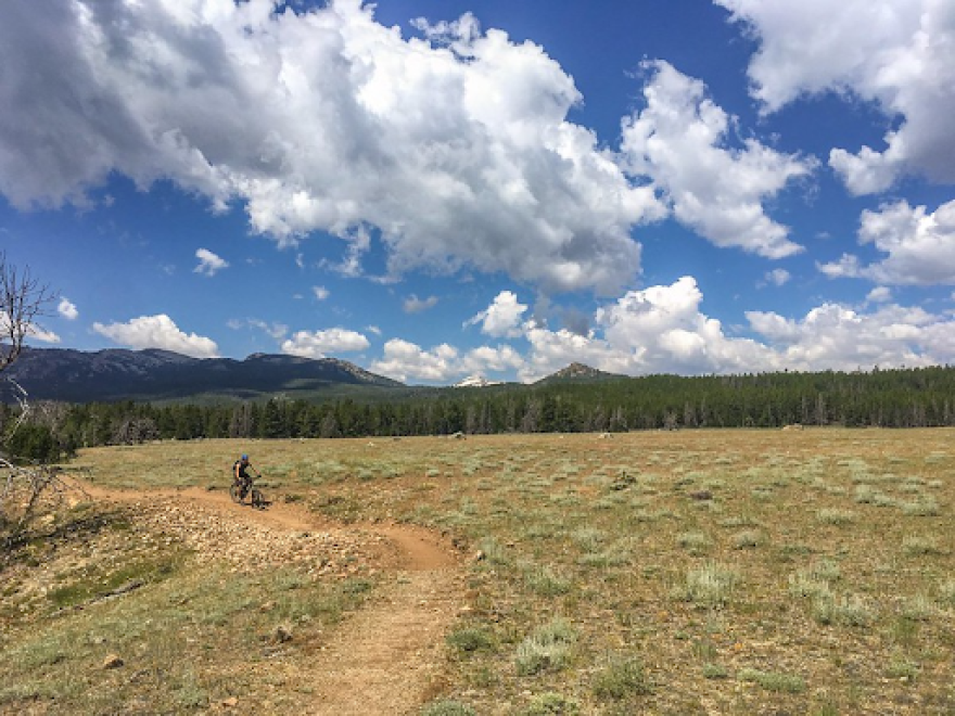 A mountain biker riding in the Shoshone National Forest in Wyoming Credit: