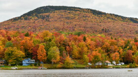 Lake Elmore, with the mountain and its fire tower in the background.