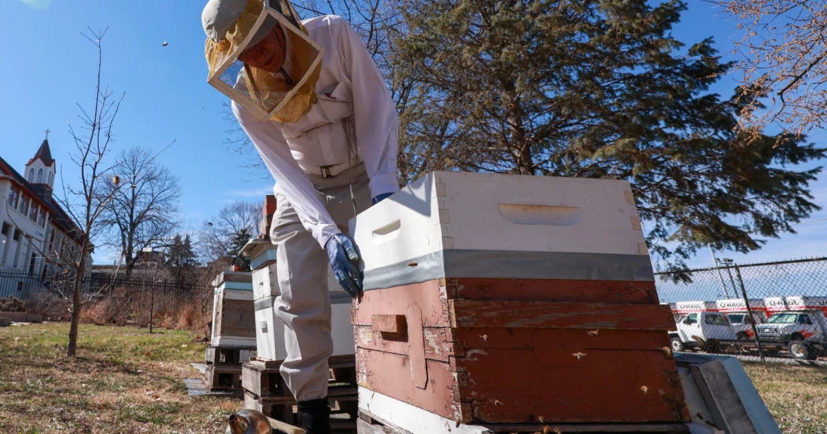 Statewide: Bees and beekeepers are losing an ally