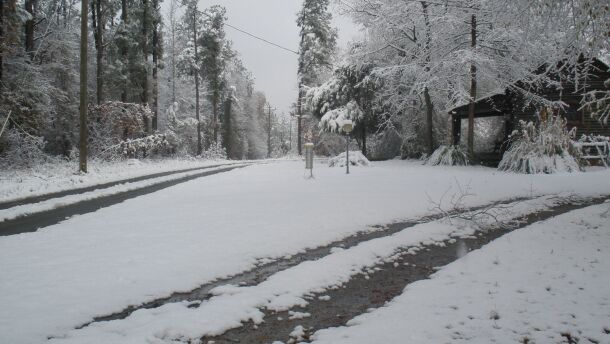  Snowfall near Longtown, South Carolina in December 2010.