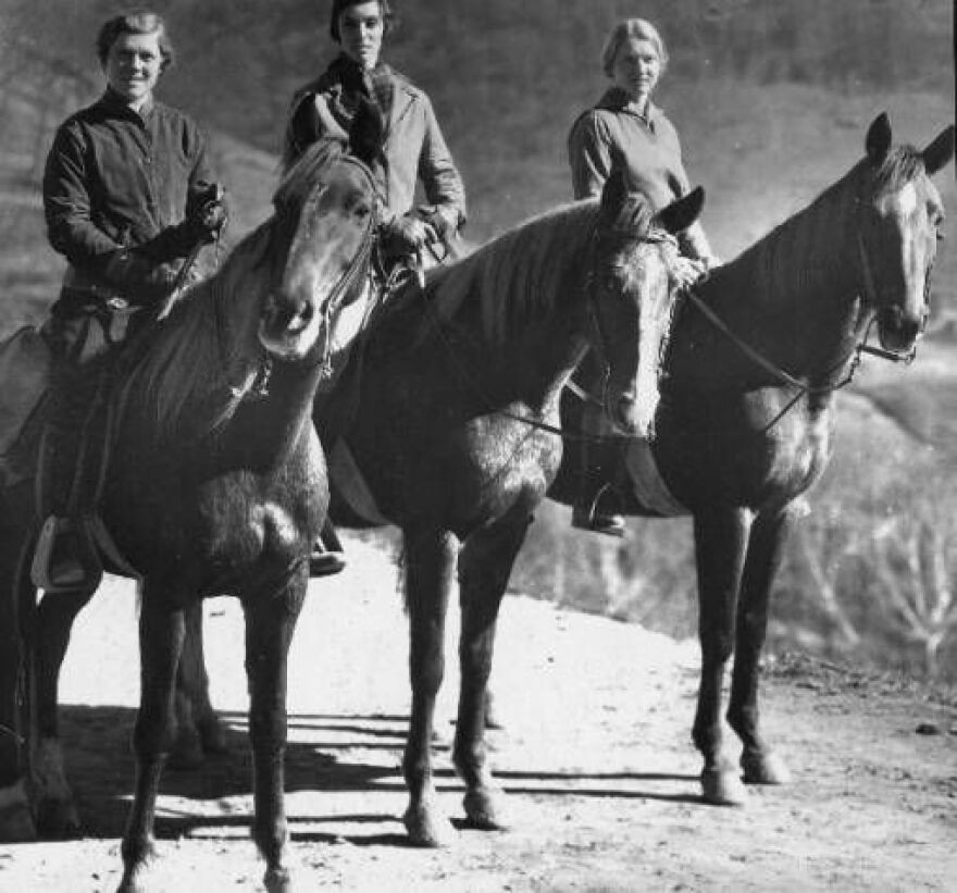 horses.jpg