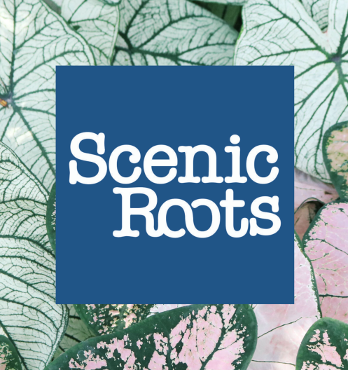 Scenic Roots - Thu 10/22/20