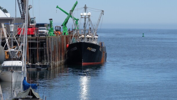 The Provider docks at East Point Dock in Kodiak. It's one of two boats that fish for weathervane scallops.
