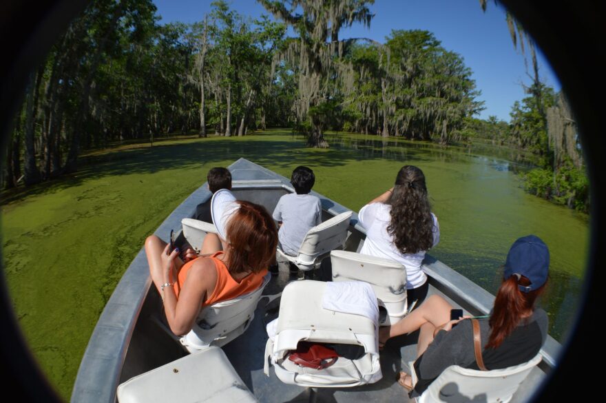 Lake Martin, Louisiana. Cajun Country Swamp Tour. (Joe Yogerst)