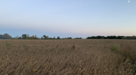 This conventionally farmed soy bean field in Ozaukee County will be transform to a native forest and wetland. It's one of seven projects unfolding in Milwaukee's watersheds as the Reforestation & Wetland Restoration Program kicks off.