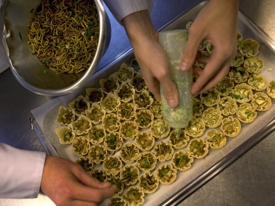 Students prepare mealworm quiches at the Rijn IJssel school for chefs in Wageningen, Netherlands.