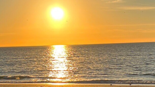 Florida's tropical climate may contribute to why the state scored well in a study of states susceptible to occupational burnout.