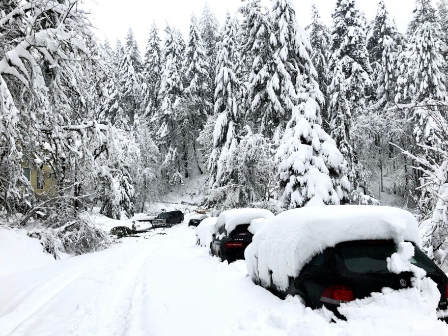 Forecasters says low elevations in western Oregon have a better-than-average chance of seeing snow this winter, though they're not specifically predicting a storm like the one that hit Eugene in February 2019.