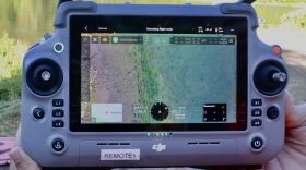 Aerial drone imagery of returning sockeye in the Wood River.