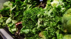 A close-up of lettuce stocked in a grocery store