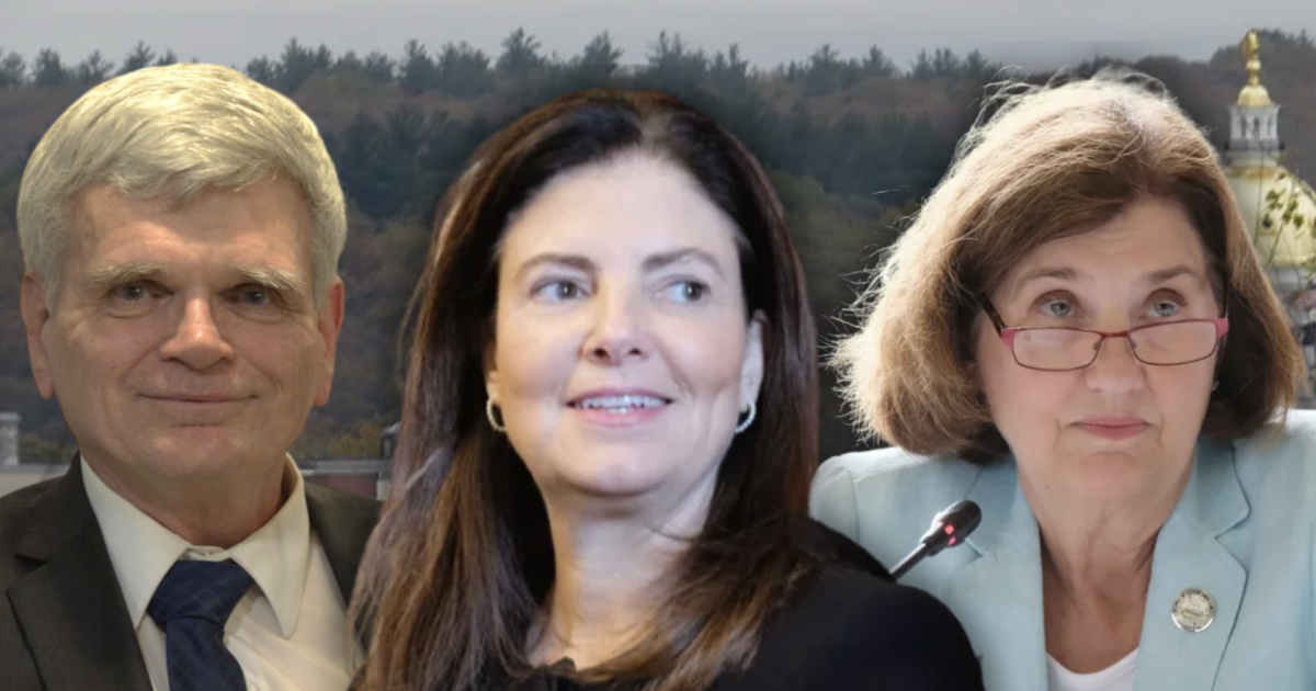 A procrastinator’s guide to the NH governor's race