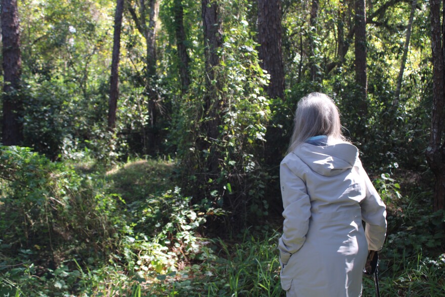 Forests cover the corners of the Bissetts’ property they don’t use for their nursery operations.