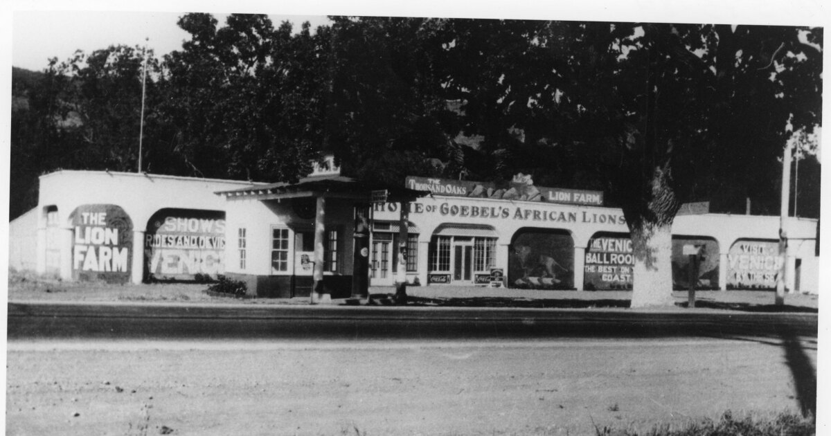 New exhibit honors Ventura County theme park Jungleland and its animal stars of the silver screen
