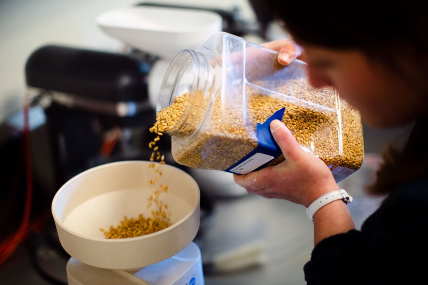 Inside Skagit County's Bread Lab.