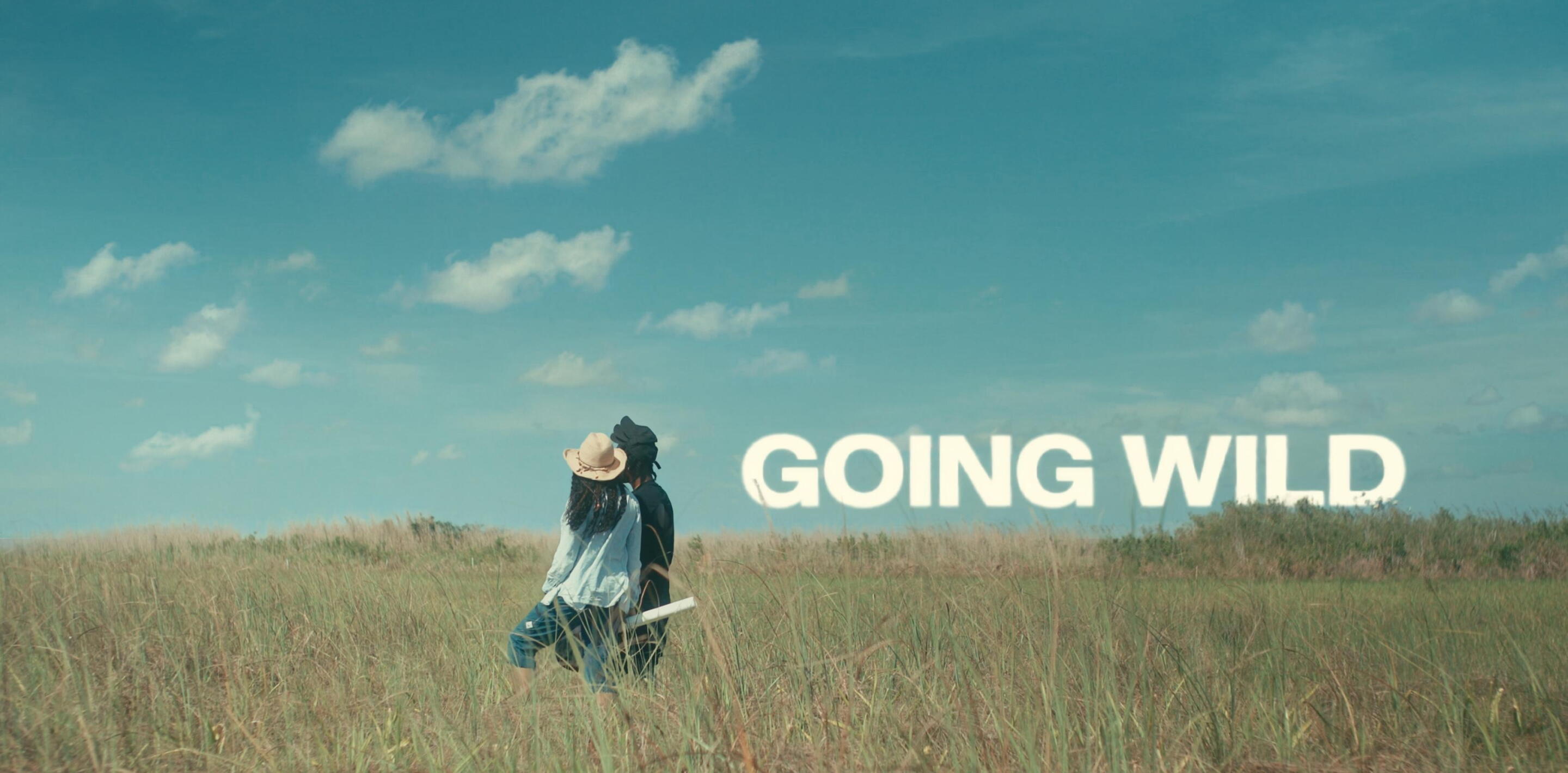 Going Wild | Connecticut Public