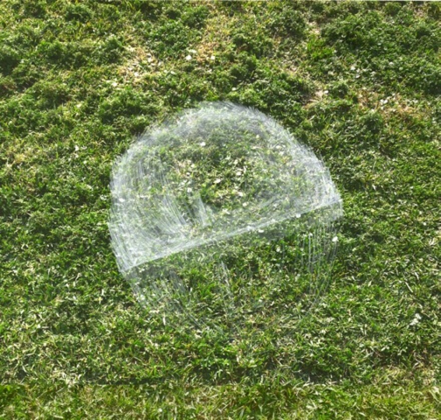 Short_Grass.jpg