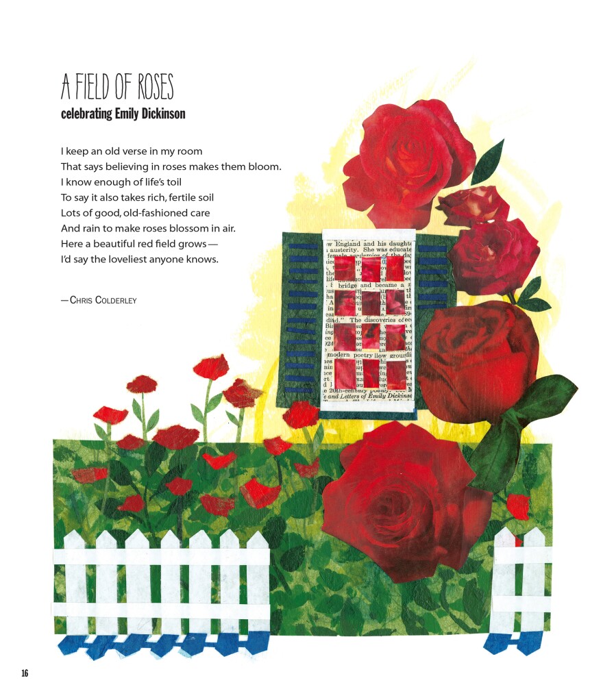 A Field Of Roses