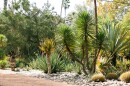 Desert botanical garden.