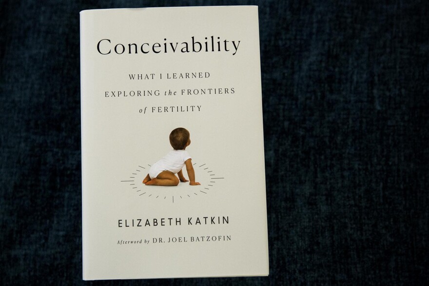 "Conceivability," by Elizabeth Katkin. (Robin Lubbock/WBUR)