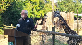 man at a podium with a giraffe behind him