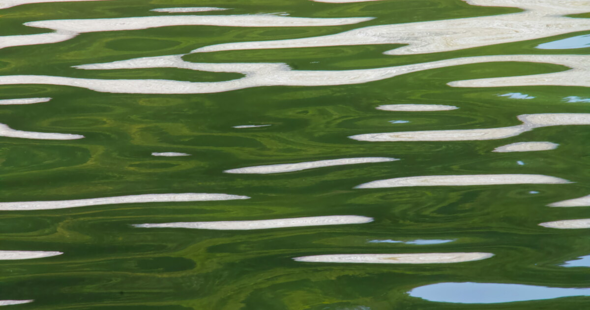 Man drowns while swimming in a Central Coast lake