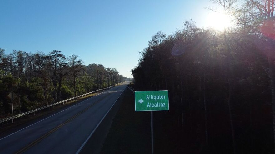 A green sign points to the gates of an immigrant detention facility in the heart of the Everglades. Alligator Alcatraz was built in eight days on the runway of the Dade-Collier Training and Transition Airport.