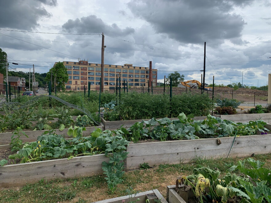 Ebonee Rice Nguyen Pittsburgh urban farmers get a $900K boost from USDA | 90.5 WESA