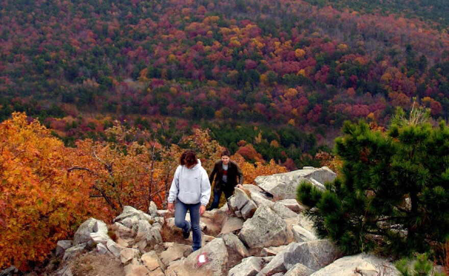 The East Summit Trail is a remnant of one of the six quarry sites found throughout the park. 