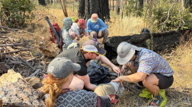 Medical students work in pairs to help the two hikers who were injured, using only what they brought with them on the hike.