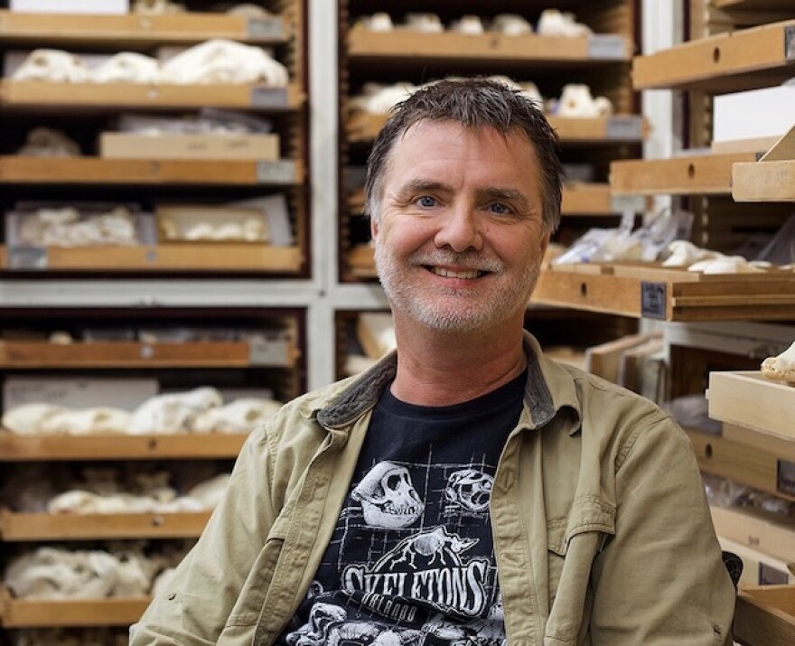 Jay Villemarette