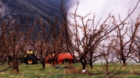 Aspersión de pesticidas en los cultivos del estado de Washington. Foto: Cortesía de Pablo Palmández.