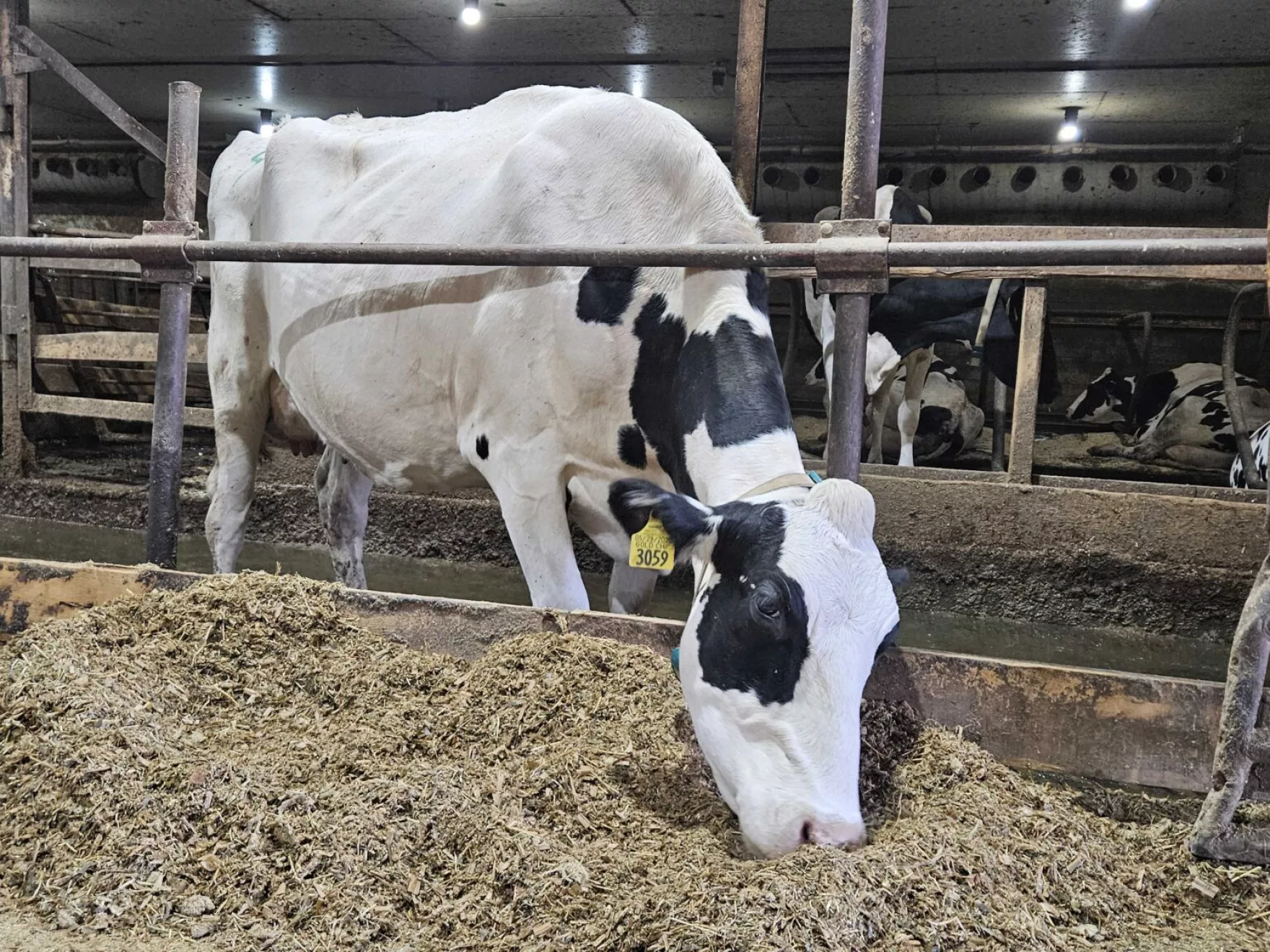 Dairy Disputes, Smarter Travel Tech, and Digital Anatomy