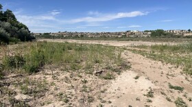 The Rio Grande in central Albuquerque, shown here in May 2026. 