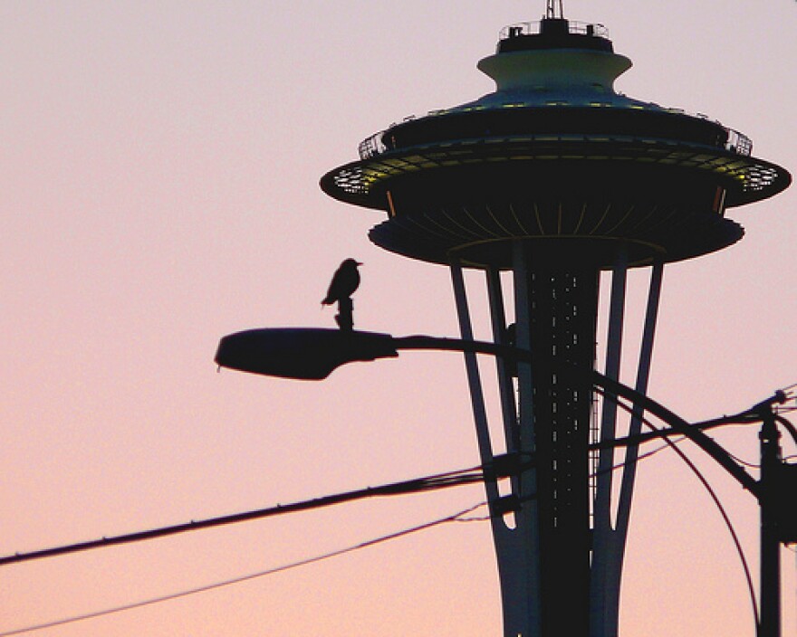 Bird perching on an apparently non-electrified Seattle streetlight 5/9/09