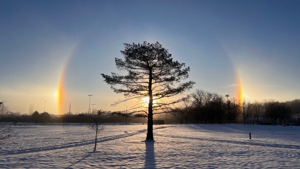 A sundog frames a tree on Dec. 4, 2025.