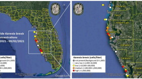 Map of Florida showing red tide concentrations between August 26, 2021 and September 2, 2021. 