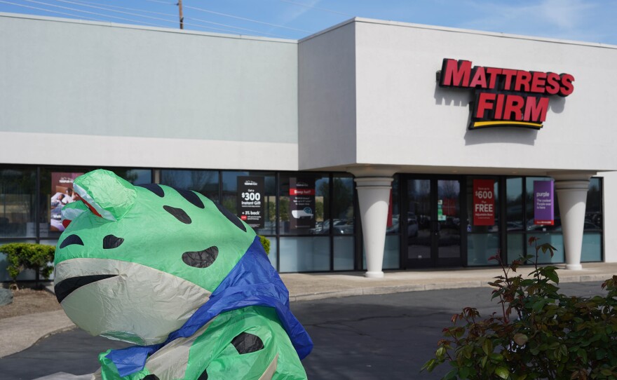 Inflatable green and blue costume figure positioned near a storefront during a roadside protest.