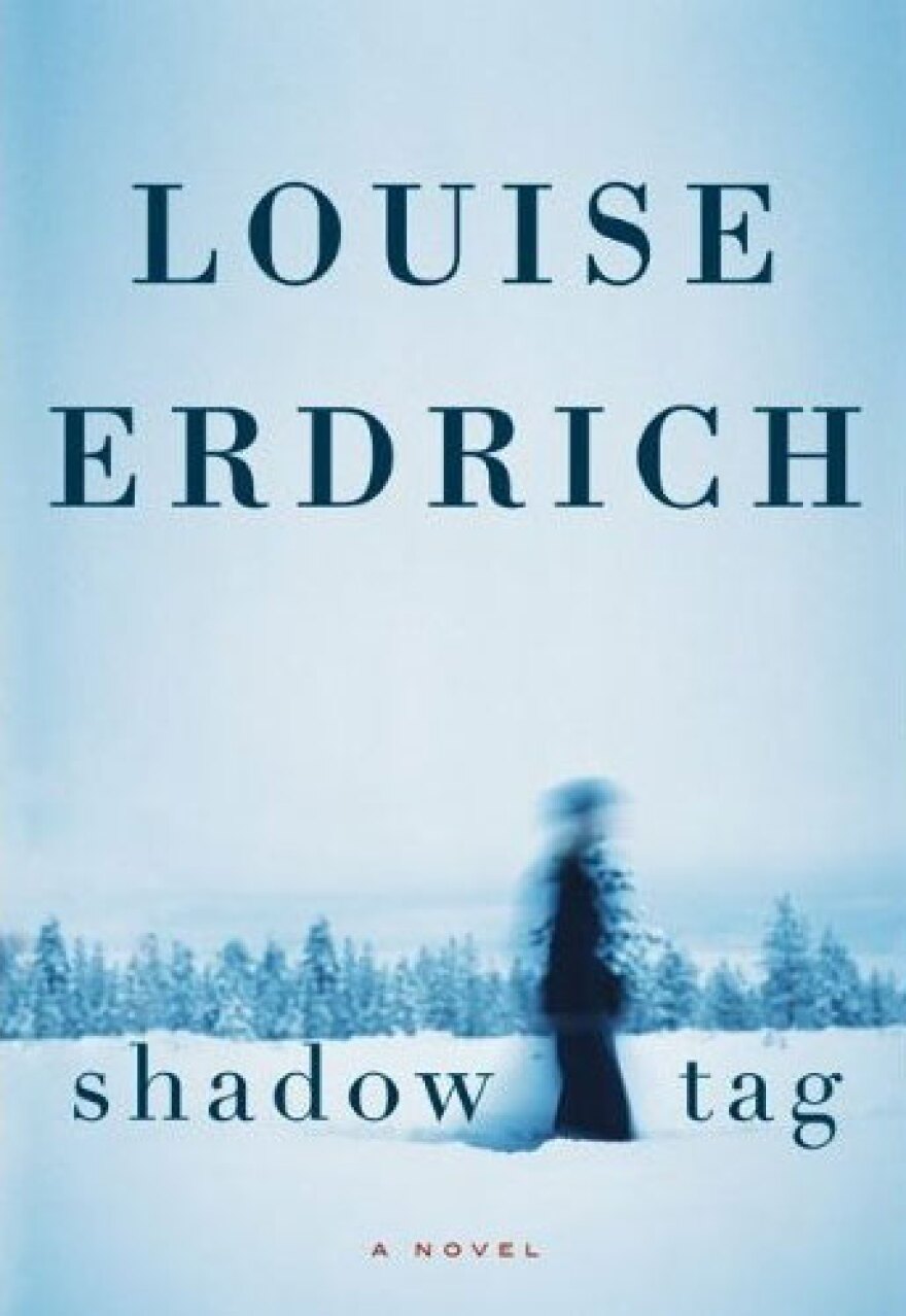 'Shadow Tag' book cover