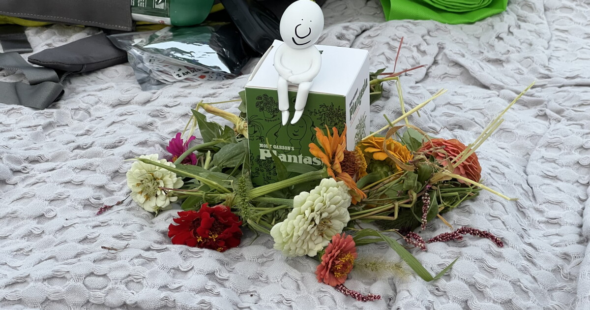 Plantastic: Kingston music festival celebrates 50 years of ‘Plantasia,’ music and nature