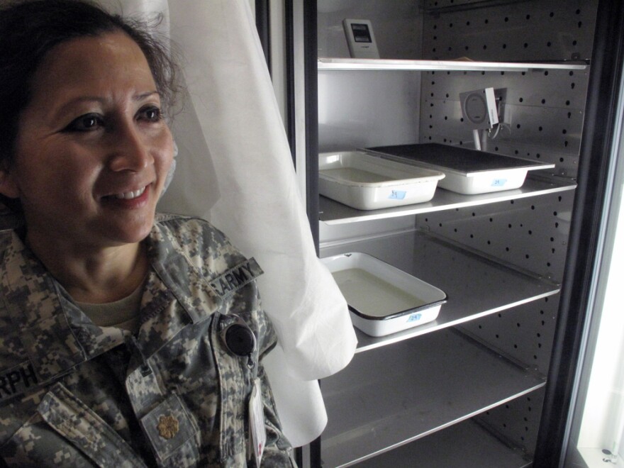 Maj. Jittawadee Murphy, an entomologist, stands near trays of incubating mosquito larvae used to determine whether experimental drugs and vaccines can prevent malaria.