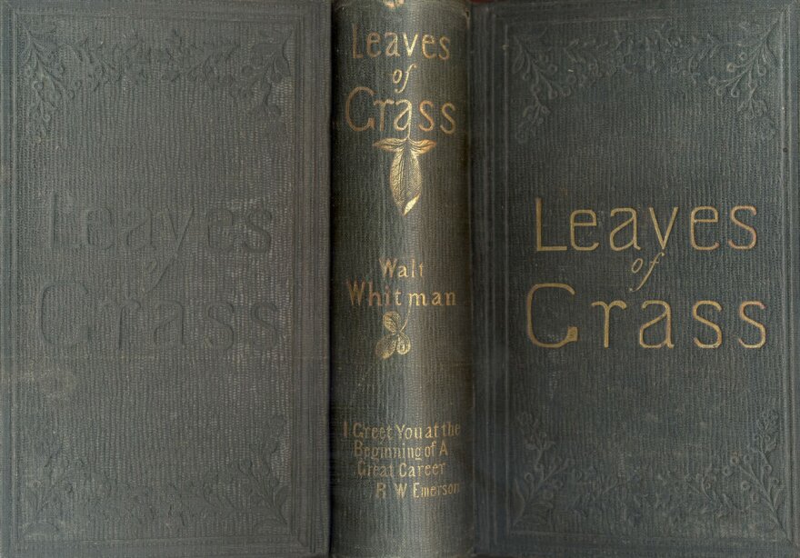 A shot of the 1856 edition of Walt Whitman's <em>Leaves of Grass</em>, with Emerson's blurb on the spine.