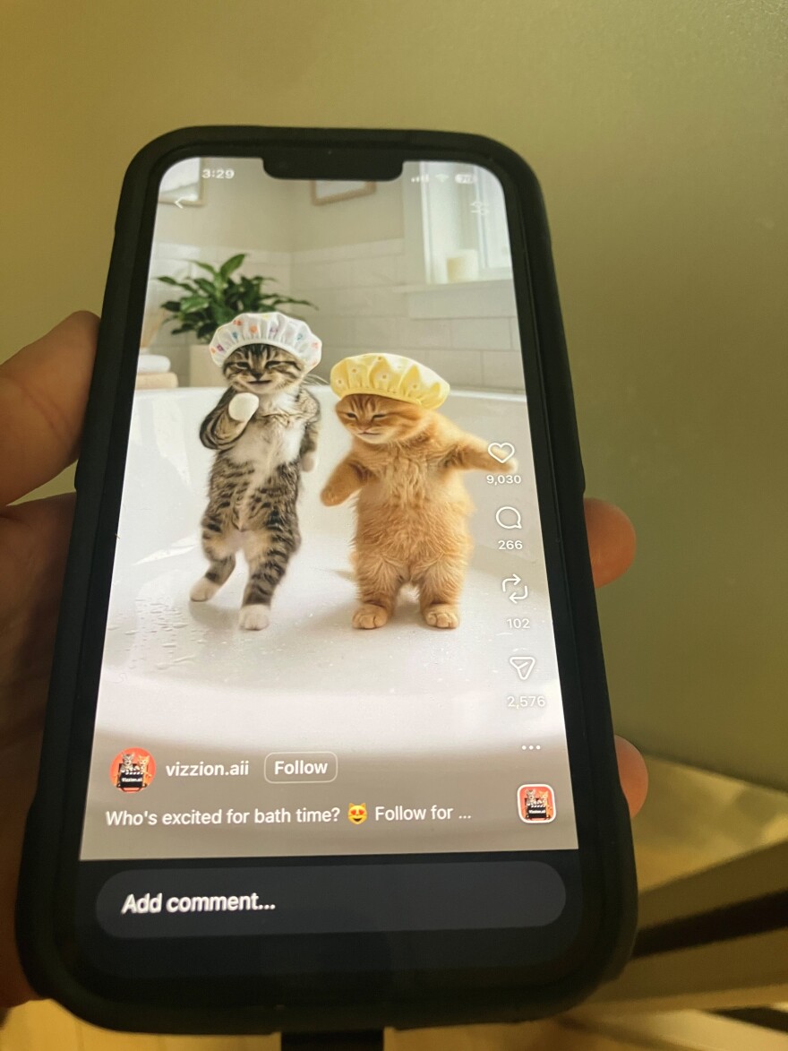 Two cats in a video, likely designed by artificial intelligence, are dancing, wearing shower caps.