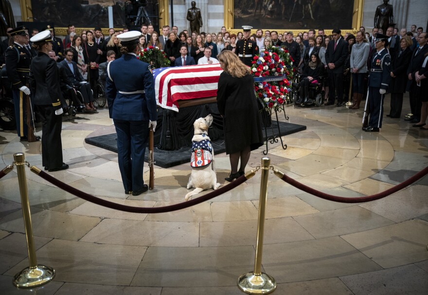 Sully, a yellow Labrador service dog that belonged to former President George H. W. Bush, sits near the casket of the late president as he lies in state at the U.S. Capitol, Tuesday in Washington, D.C.