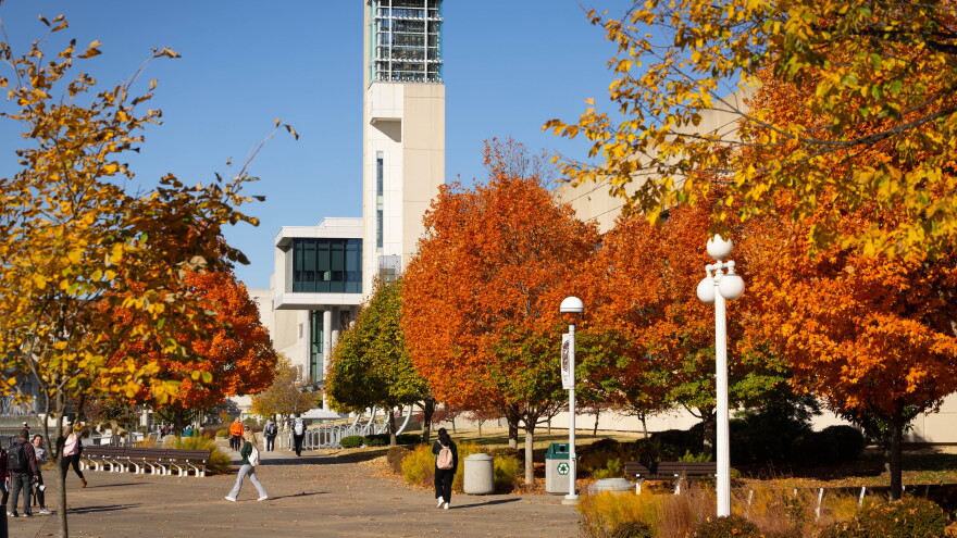 Fall colors on campus